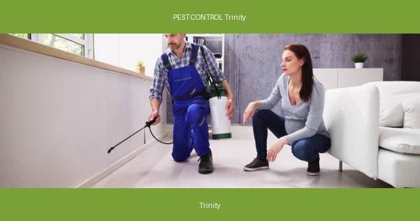 PEST CONTROL Trinity